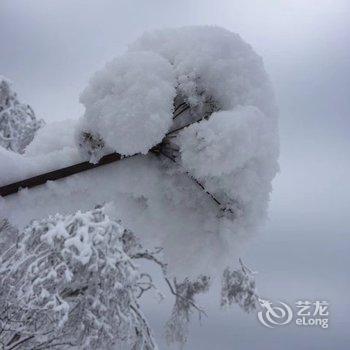 雪乡二浪河雅艺宾馆酒店提供图片