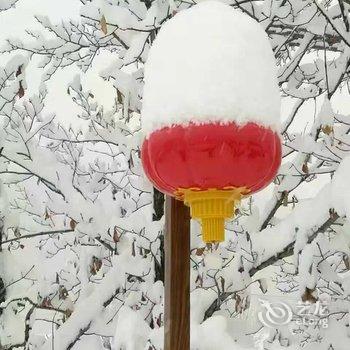 雪乡二浪河雅艺宾馆酒店提供图片