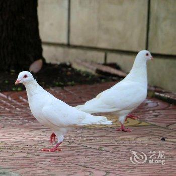 万源大酒店酒店提供图片