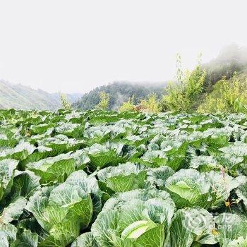 汶川县临惠酒店酒店提供图片