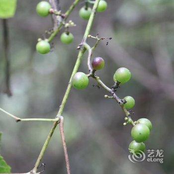 汶川县临惠酒店酒店提供图片