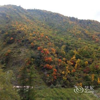 汶川县临惠酒店酒店提供图片