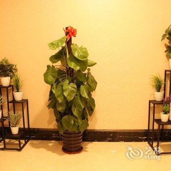 广州纪梵酒店酒店提供图片