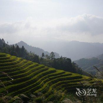 龙脊梯田稻艺居民宿酒店提供图片