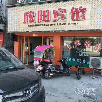 苍南欣阳旅馆酒店提供图片