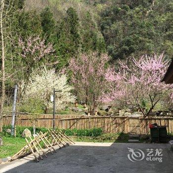 神农架问山驿站酒店提供图片