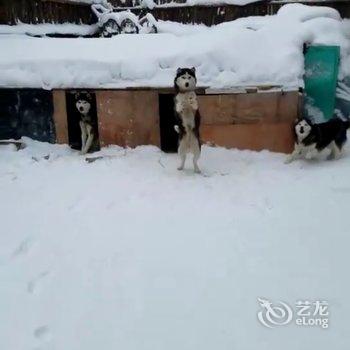 哈尔滨海林雪乡王建国家庭旅馆酒店提供图片