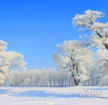 哈尔滨海林雪乡王建国家庭旅馆酒店提供图片