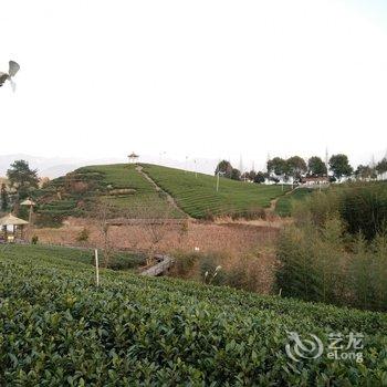 松阳县慢生活民宿客栈酒店提供图片