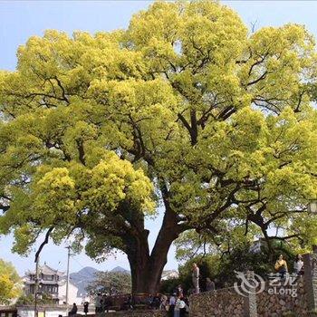 丽水宿兮客栈酒店提供图片