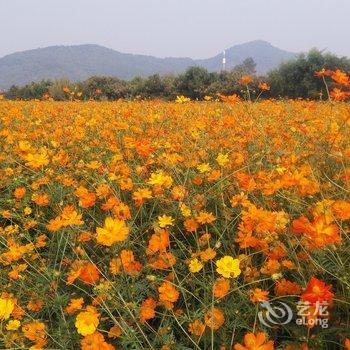 北京山山小院酒店提供图片