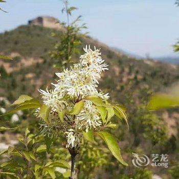 北京伴山乐居酒店提供图片