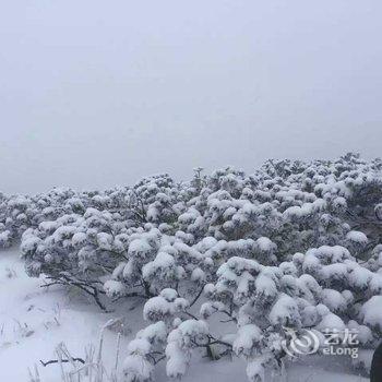 长白山万达国际度假区霞慕尼别墅酒店提供图片