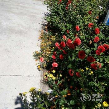 阿坝黑水勇情客栈酒店提供图片
