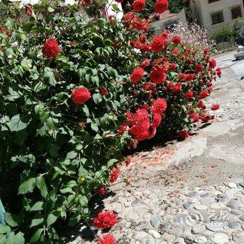 阿坝黑水勇情客栈酒店提供图片