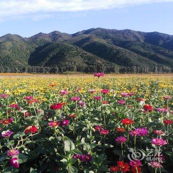 北京山山小院酒店提供图片