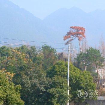 天台塔后月园民宿酒店提供图片