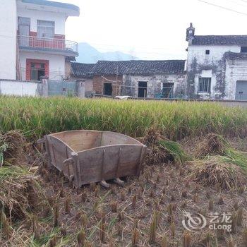 黄山菊诗苑酒店提供图片