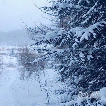 雪乡二浪河维子家庭旅馆酒店提供图片