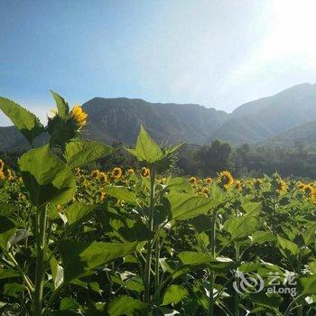 登封嵩岳民宿酒店提供图片