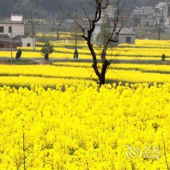 黄山西递三号小镇艺术民宿酒店提供图片