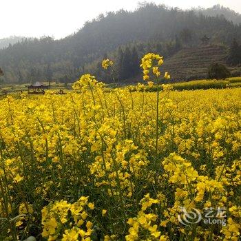 黄山西递三号小镇艺术民宿酒店提供图片