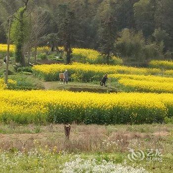 黄山西递三号小镇艺术民宿酒店提供图片