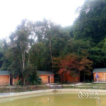 清远峰林墨客人文住宿酒店提供图片