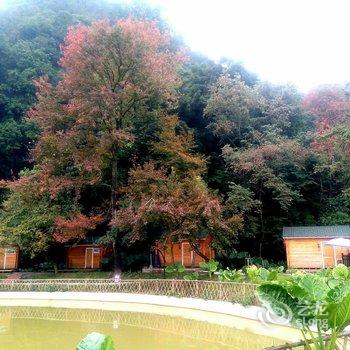 清远峰林墨客人文住宿酒店提供图片