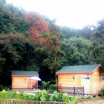 清远峰林墨客人文住宿酒店提供图片