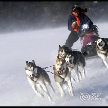 雪乡二浪河庆利小栈酒店提供图片