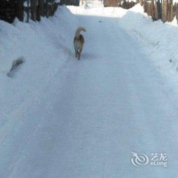 雪乡二浪河老许家庭旅馆酒店提供图片