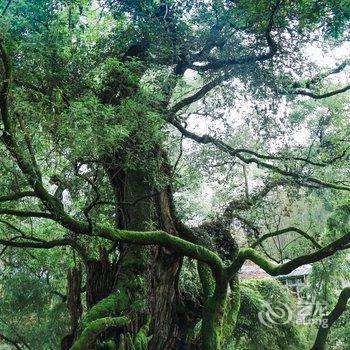 丽水十二道舍民宿酒店提供图片