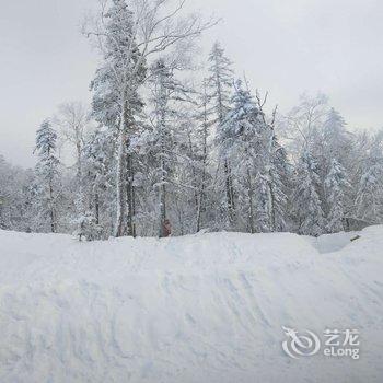 雪乡小酒窝家庭驿站酒店提供图片