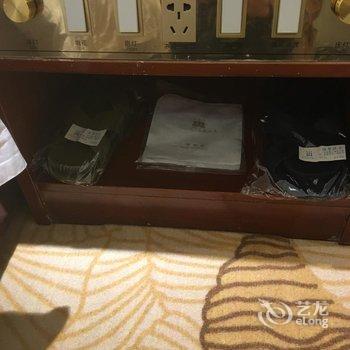 平果名典大酒店(百色)酒店提供图片