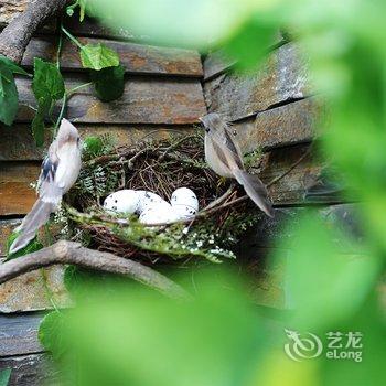 宁波杭州湾海底温泉酒店酒店提供图片