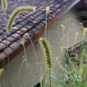 遂昌归元田居民宿酒店提供图片