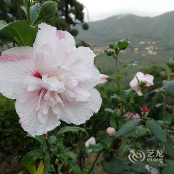 遂昌归元田居民宿酒店提供图片