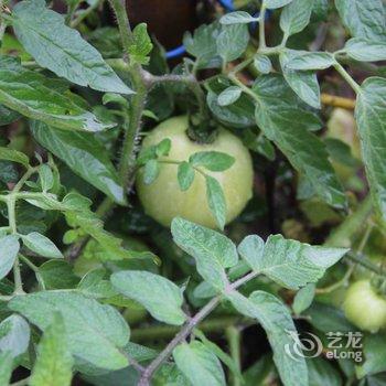 遂昌归元田居民宿酒店提供图片