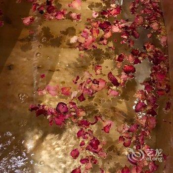 吉林松花湖青山雅居精选酒店酒店提供图片