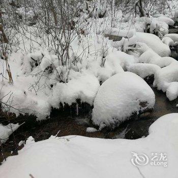 五常山林雪谷童话时光客栈酒店提供图片