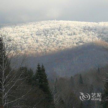 五常山林雪谷童话时光客栈酒店提供图片