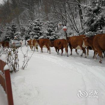 五常山林雪谷童话时光客栈酒店提供图片