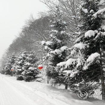 五常山林雪谷童话时光客栈酒店提供图片