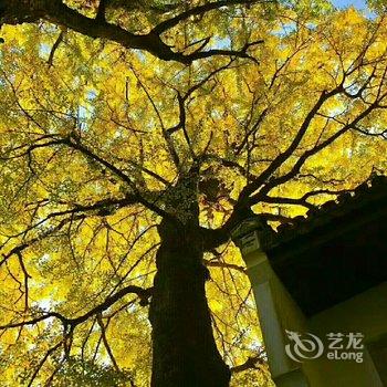 衡阳衡山云峰山庄酒店提供图片