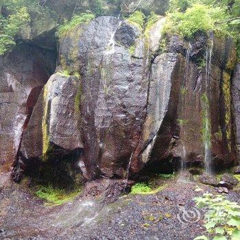 长白山棒槌鸟休闲宾馆酒店提供图片