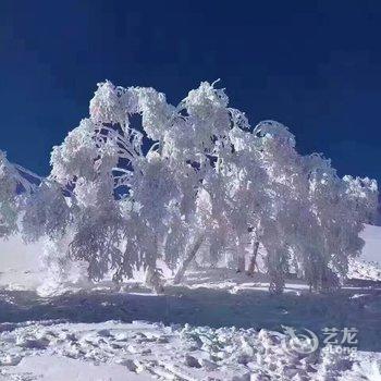 雪乡二浪河雪缘农家院酒店提供图片