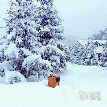 雪乡薛善彬家庭旅馆酒店提供图片