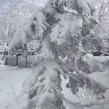 雪乡薛善彬家庭旅馆酒店提供图片