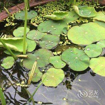 金典铭苑(上海迪士尼店)酒店提供图片